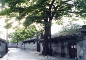 Beijing Hutongs